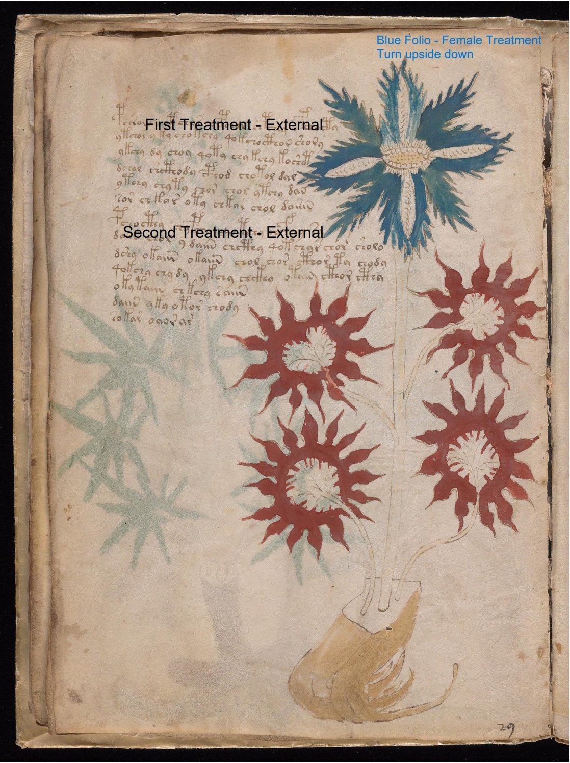 Secondary labelled diagram of Folio 16v